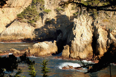 Point Lobos  Afternoon Light
