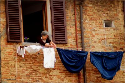 Siena Laundry