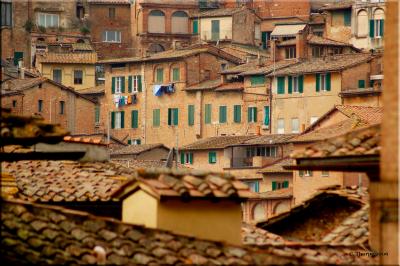 Siena Homes
