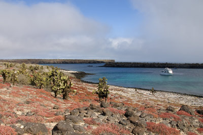 Galapagos Cove