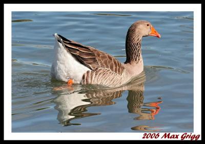 IMG_3308pb.jpg