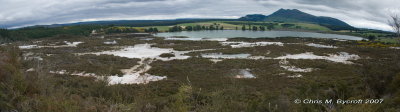 Rotorua Botanical Society Field trip to Lake Rotokawa