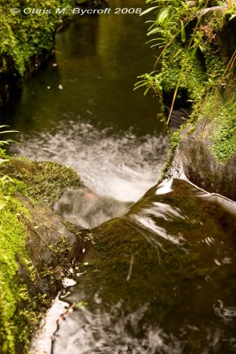 20080405-IMG_2048.jpg