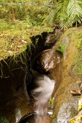 20080405-IMG_2054.jpg