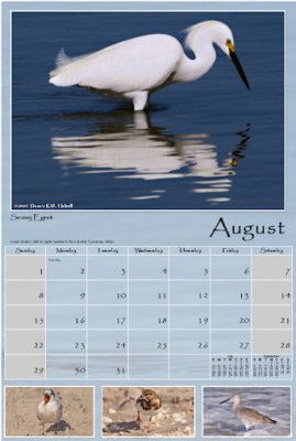 August Images