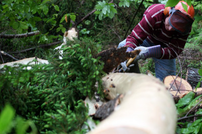 thomas stripping bark off less than straight tree ;)