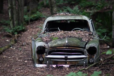 this peugeot 403 has seen better days