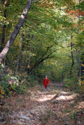 walking in state park