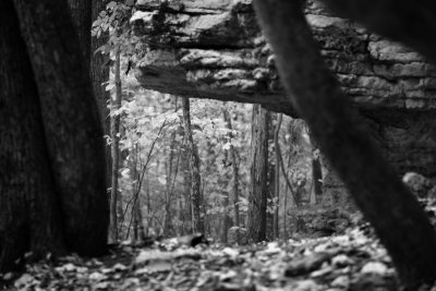 state park
