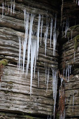 icicles, thatcher state park