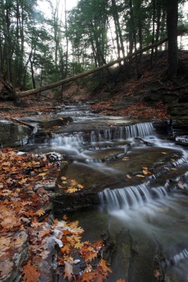 creek, thatcher state park