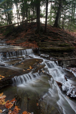 creek, thatcher state park
