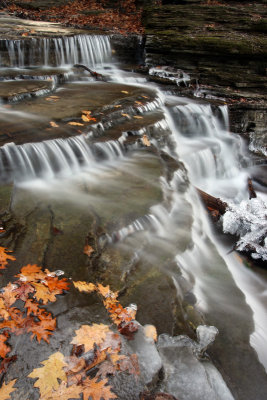creek, thatcher state park