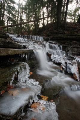 creek, thatcher state park