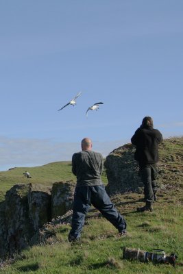 Me shooting Fulmar at St Abbs Head, Scotland