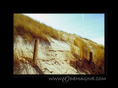 Lomo sand dunes.