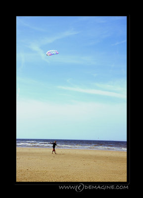 Fly a kite (lomo style).