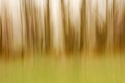Tree Panning