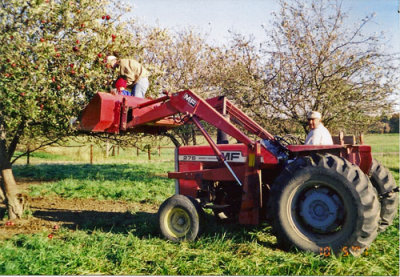 TB145a.jpg