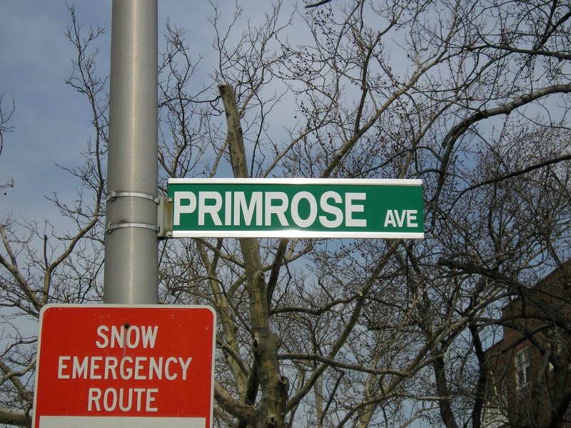 Gramatan Avenue  Primrose street sign.JPG