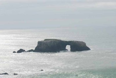 Foggy Sonoma Coast