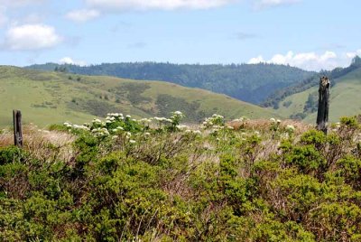 Bodega Bay  & The Sonoma Coast