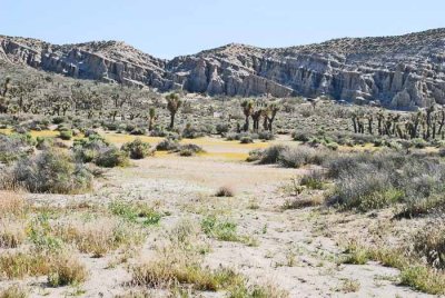 Bear Mountain and Red Rock Canyon