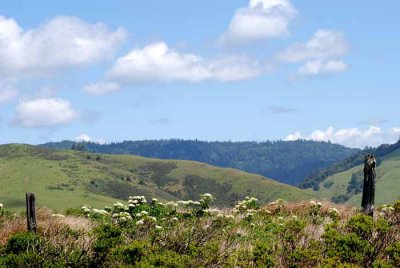 Bodega Bay  & The Sonoma Coast