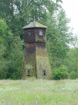 Olympic Peninsula, May, 2010