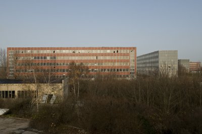 DSC_5335a.jpg