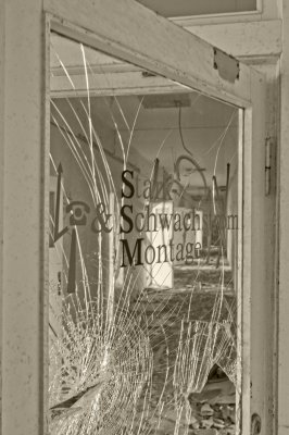 DSC_5309a.jpg