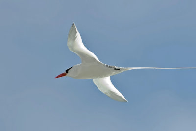g3/66/939066/3/120462280.MqoqFZJU.jpg