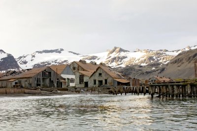 Grytviken South Georgia