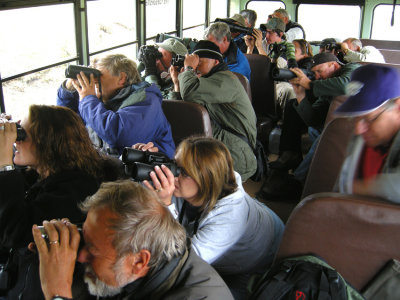 Denali NP. buss