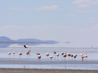 Day 4 : Lake Pozuelos