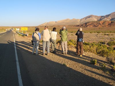 We stopped by a bridge to look at flocks of finches