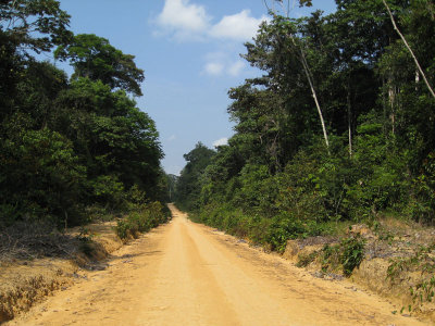 The unpaved road leading to the research tower