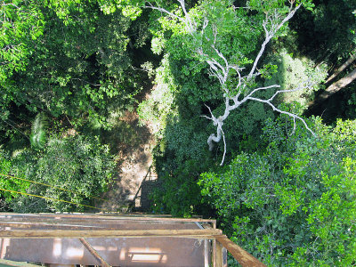 Looking down from the top of the tower