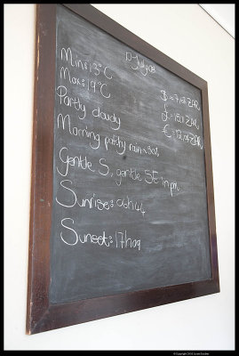 Phinda_0232.4.jpg