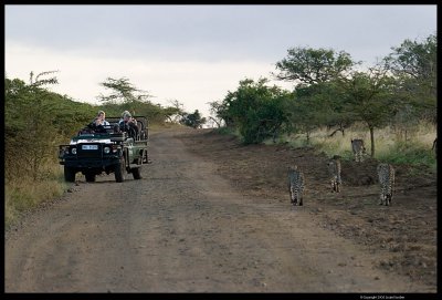 Phinda Private Game Reserve