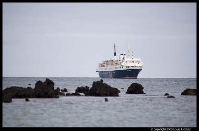 Floreana_3620.3.jpg