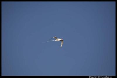 Floreana_3661.3.jpg