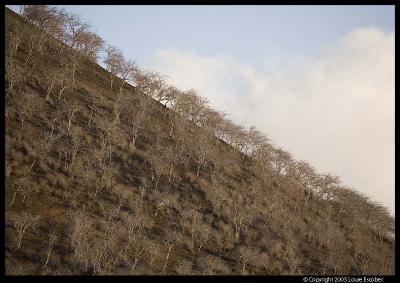 Floreana_3697.3.jpg
