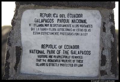 Fernandina_4110.3.jpg