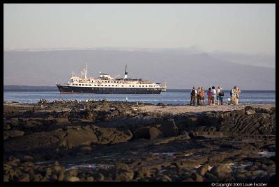 Fernandina_4167.3.jpg