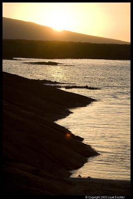Fernandina_4193.3.jpg