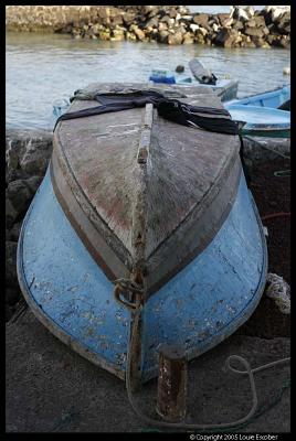 Ayora_4450.3.jpg