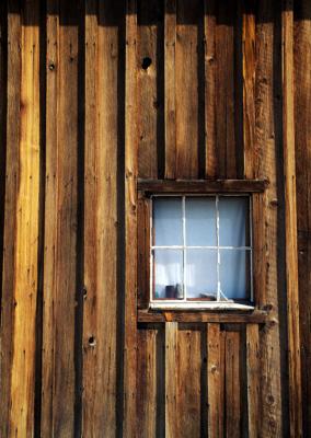 Bodie