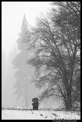 _MG_0283.3.jpg
