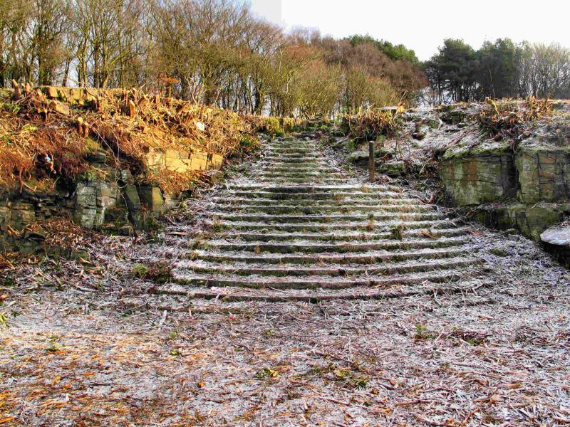 The Lost Steps - Rivington